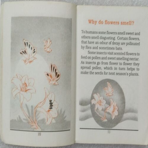 Question & Answer Book