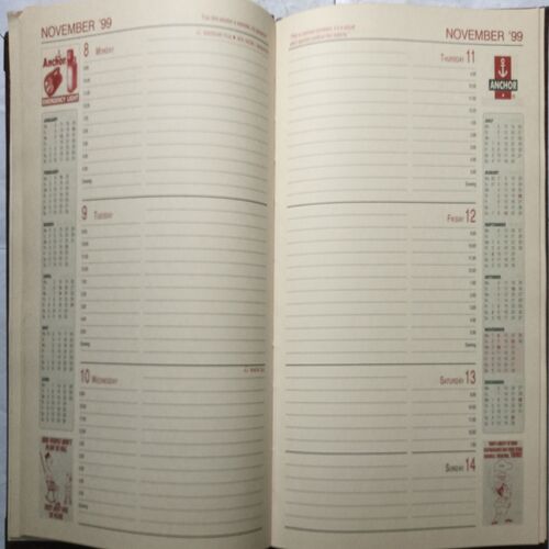 Diary ( 1999 )