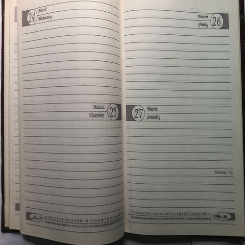Executive Diary  ( 1999 )