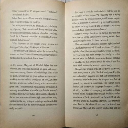 A Change In Altitude ( By Anita Shreve )