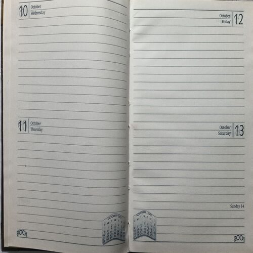 Executive Diary ( 2001 )