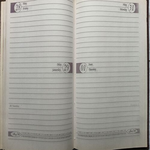 Executive Diary ( 1999 )