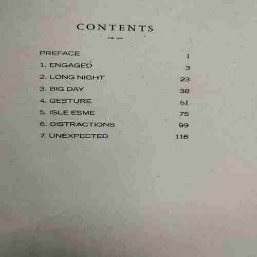 Breaking  Dawn (Stephenie Meyer)