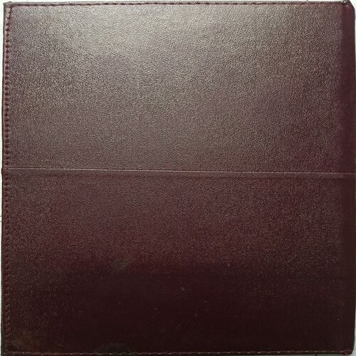 Executive Diary ( 1999 )