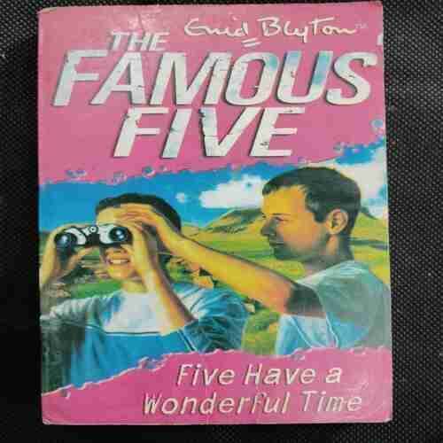 The Famous Five (Five Have a Wonderful Time )