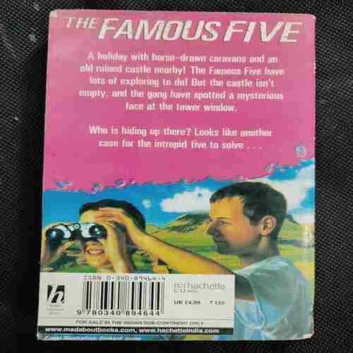 The Famous Five (Five Have a Wonderful Time )