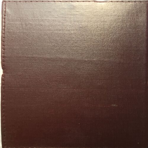 Executive Diary ( 1999 )