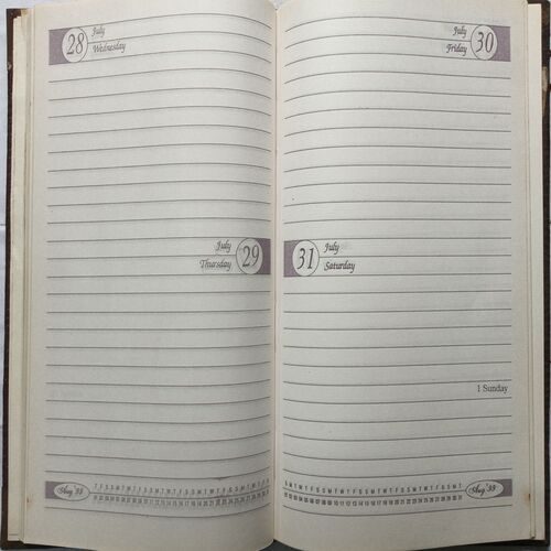 Executive Diary ( 1999 )