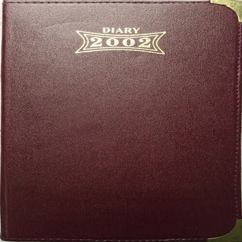 Diary ( 2002 )