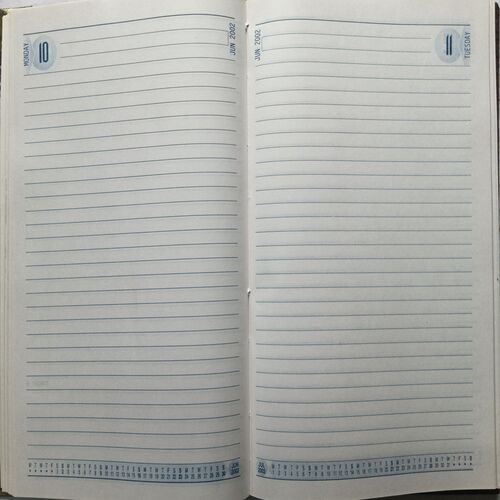 Diary ( 2002 )