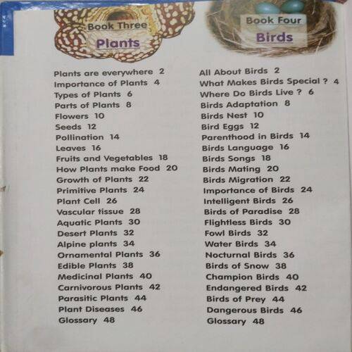 Children's Junior Encyclopedia