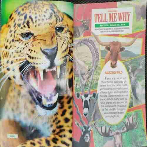 TELL ME WHY (April 2019,  VOUME 13, NO 04)