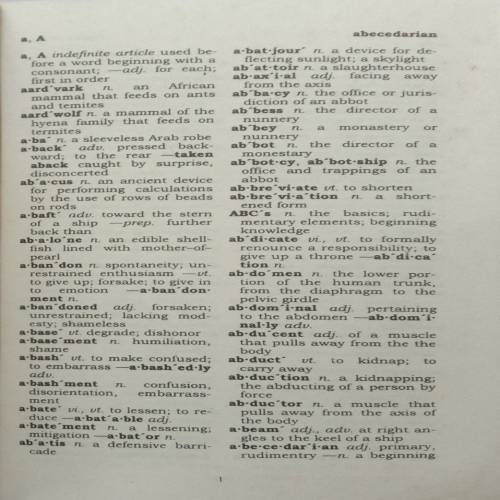 International Webster's Vest Pocket Dictionary