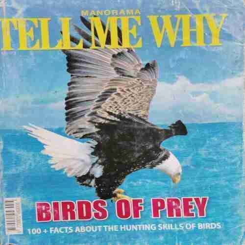 Tell Me Why (October: 2012 Volume :6 No:13)