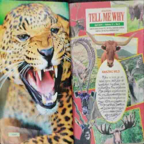Tell Me Why (April: 2019 Volume :13 No:04)