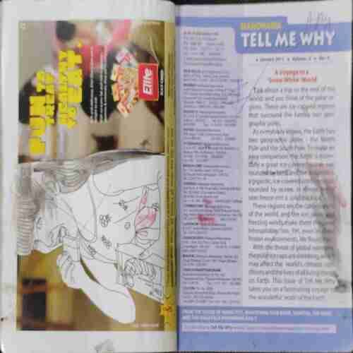 TELL ME WHY (January: 2011 Volume:5 NO:04)