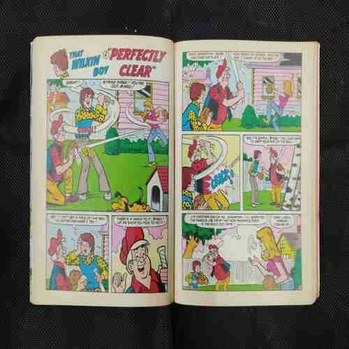 JUGHEAD AND FRIEND (NO-37)