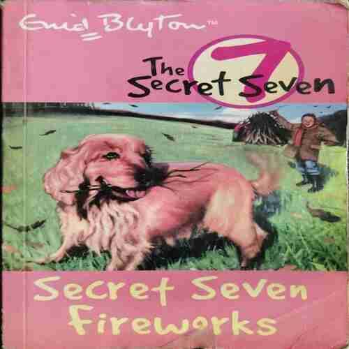 Secret Seven Fireworks (Enid Blyton)