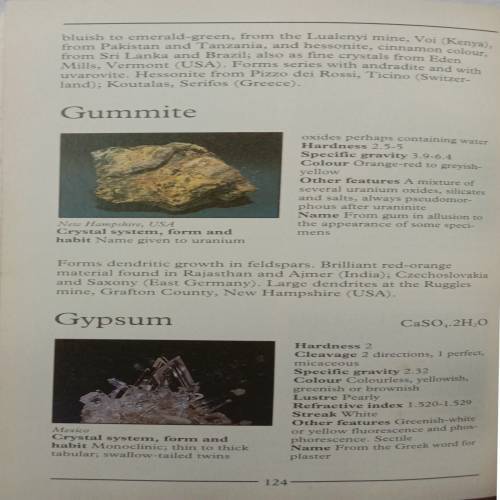 The Pocket To Guide Rocks And Minerals