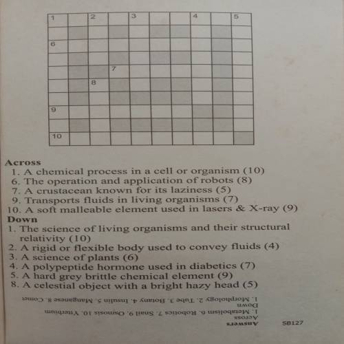 Crossword Challenge For Juniors