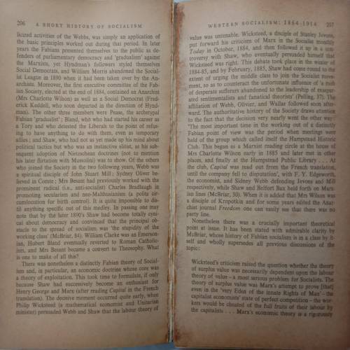 A Short History Of Socialism (By George Lightheim)