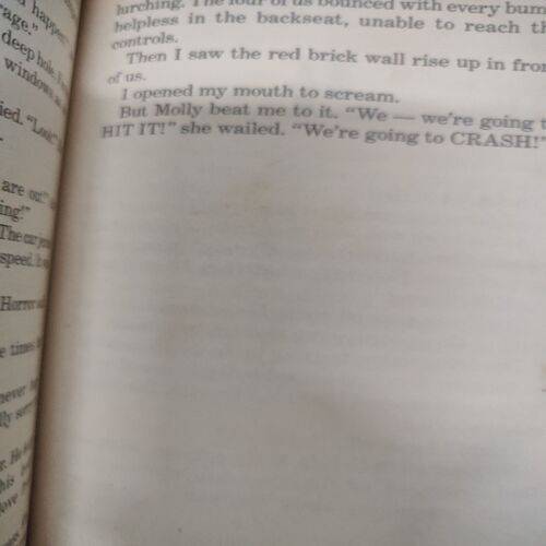 Goosebumps Horrorland .  ( R.L. Stine ) .