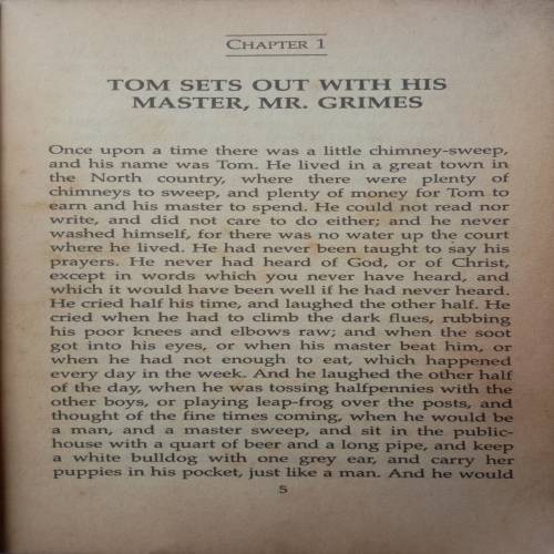 The Water Babies (By Charles Kingsley)