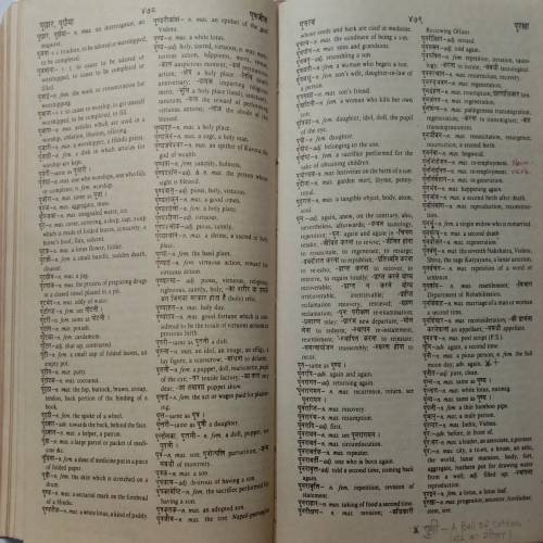 Bhargava's Standard Illustrated Dictionary (Hindi-English)