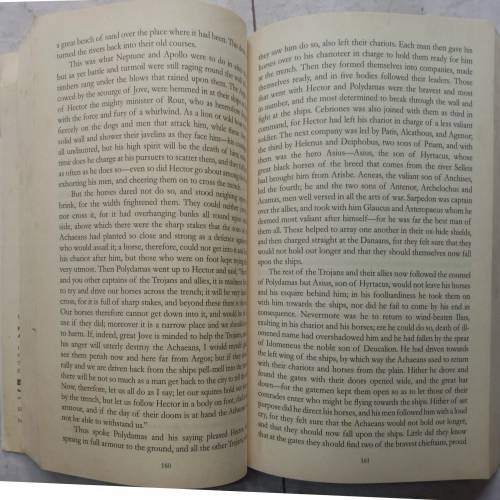 The Iliad: Homer