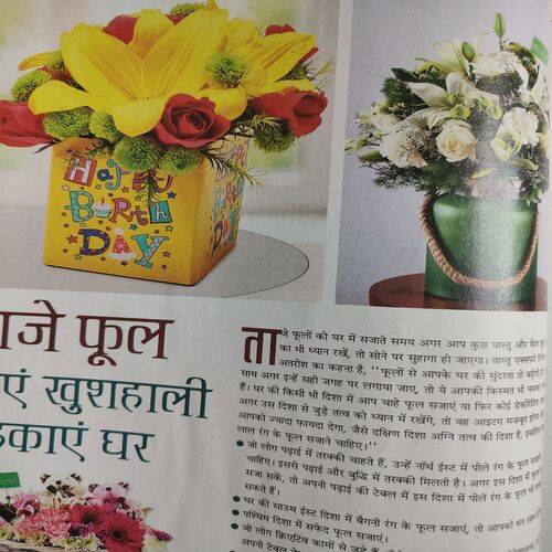 Vanita . Edition :- ( Feb - 2020 ).