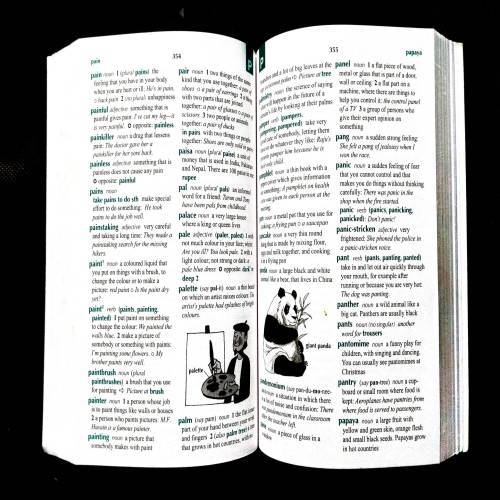 Oxford Illustrated Primary English Dictionary .