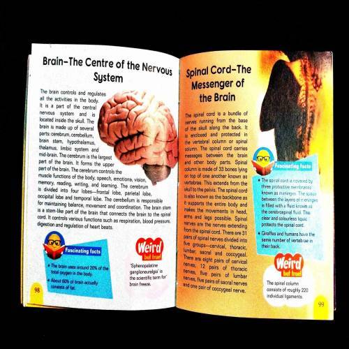 My Mini Knowledge Encyclopedia .