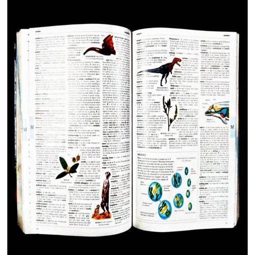 Illustrated Oxford Ditionary .