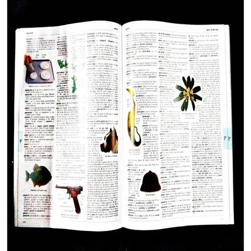 Illustrated Oxford Ditionary .