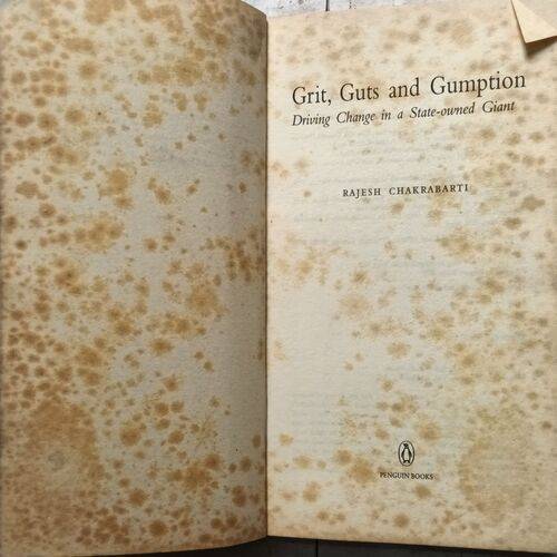 Grit,Guts And Gumption ( Rajesh Chakrabarti )
