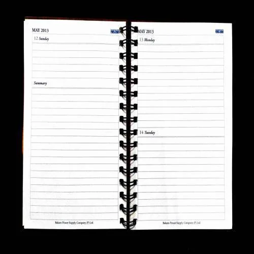 Diary ( 2013 ) .