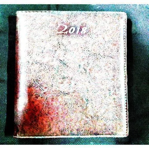 Diary (2018 ) .