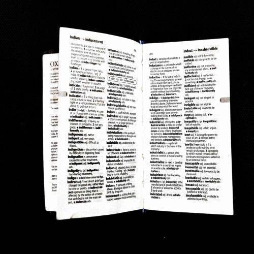 Oxford English Mini Dictionary .