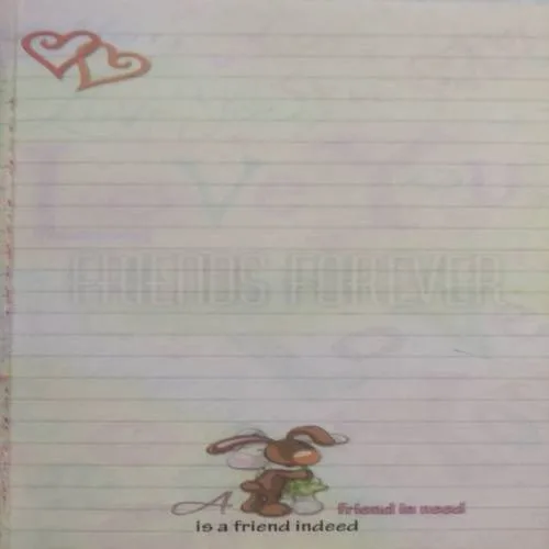 Friends Forever Diary (First 4-5 Page missing)