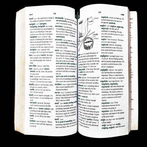Illustrated Primary English Dictionary ( Oxford ) .