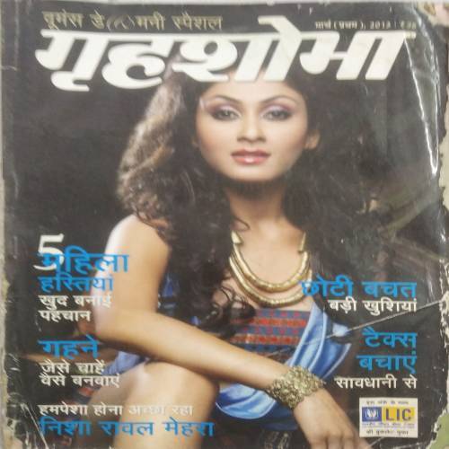 Grihshobha (May 1st 2013)