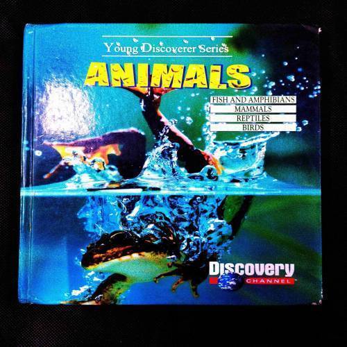 Young Discoverer Series - Animals .