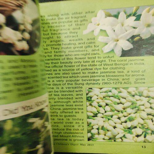 Childern’s Digest . Edition :- ( Vol. 17 , No. 05 , May - 2013 ) .