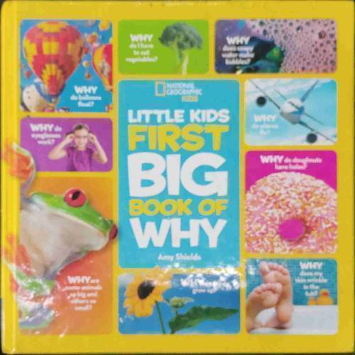 LITTEL KIDS FIRST BIG BOOK OF WHY