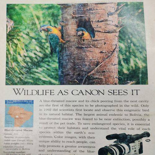 National Geographic ( Chesapeake Bay ) . Edition :- ( Vol. 183 , No. 6 , June - 1993 ) . No. Of Pages = 144 .
