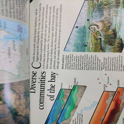National Geographic ( Chesapeake Bay ) . Edition :- ( Vol. 183 , No. 6 , June - 1993 ) . No. Of Pages = 144 .