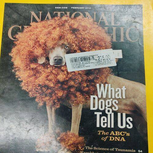 National Geographic ( What Dogs Tell Us ) . Edition :- ( Feb - 2012 ) . No. Of Pages = 146 .