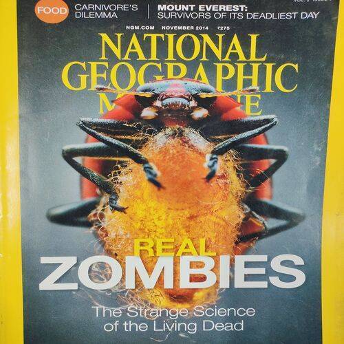 National Geographic ( Real Zombies ). Edition :- ( Nov - 2014 ). No. Of Pages = 146 .
