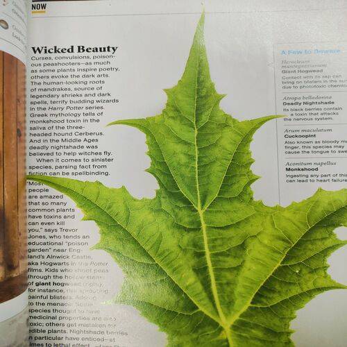 National Geographic ( Teenage Brain ) . Edition :- ( Oct - 2011 ) . No. Of Pages = 148 .