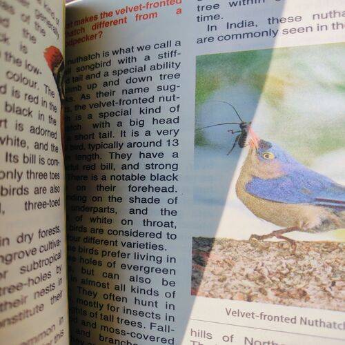Tell Me Why ( Common Birds Of India ) . Edition :- ( Sept - 2017 , Vol. 11 , No. 09 ).